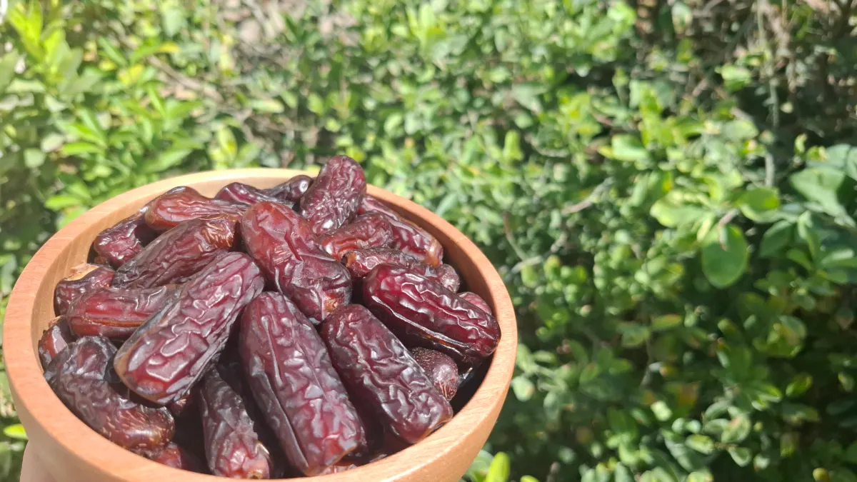 خرمای پیارم صادراتی استک