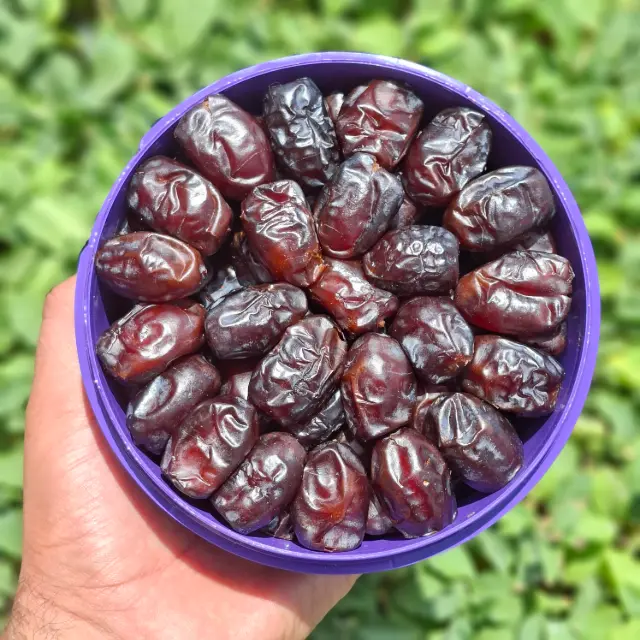 خنیزی درجه یک
