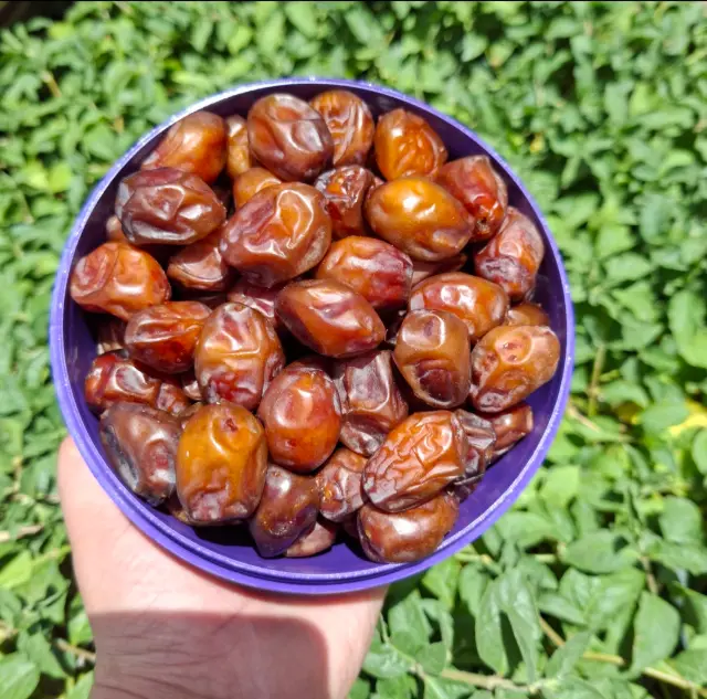 خاصویی دانه