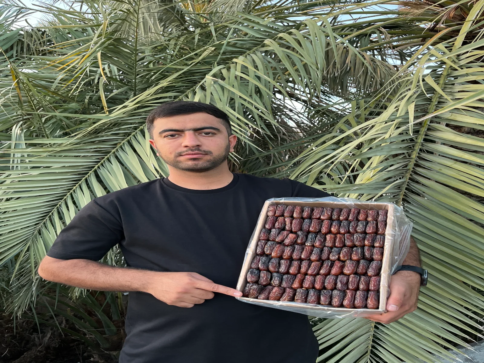 استک؛ پیوند نخلستان و خانه