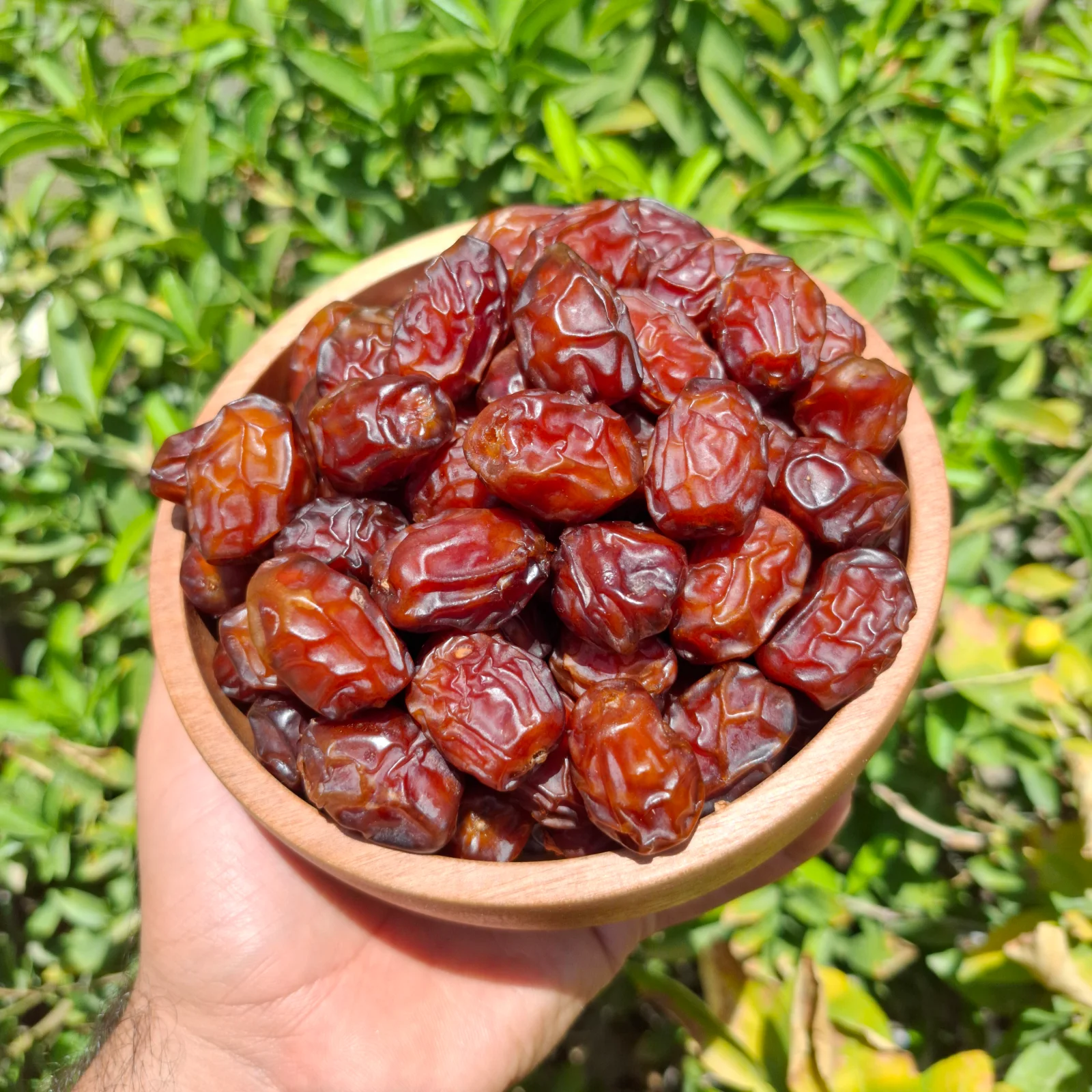 خاصویی درجه یک