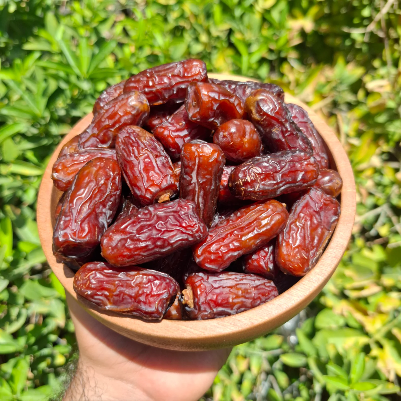 پیارم شرابی ۴سانتی