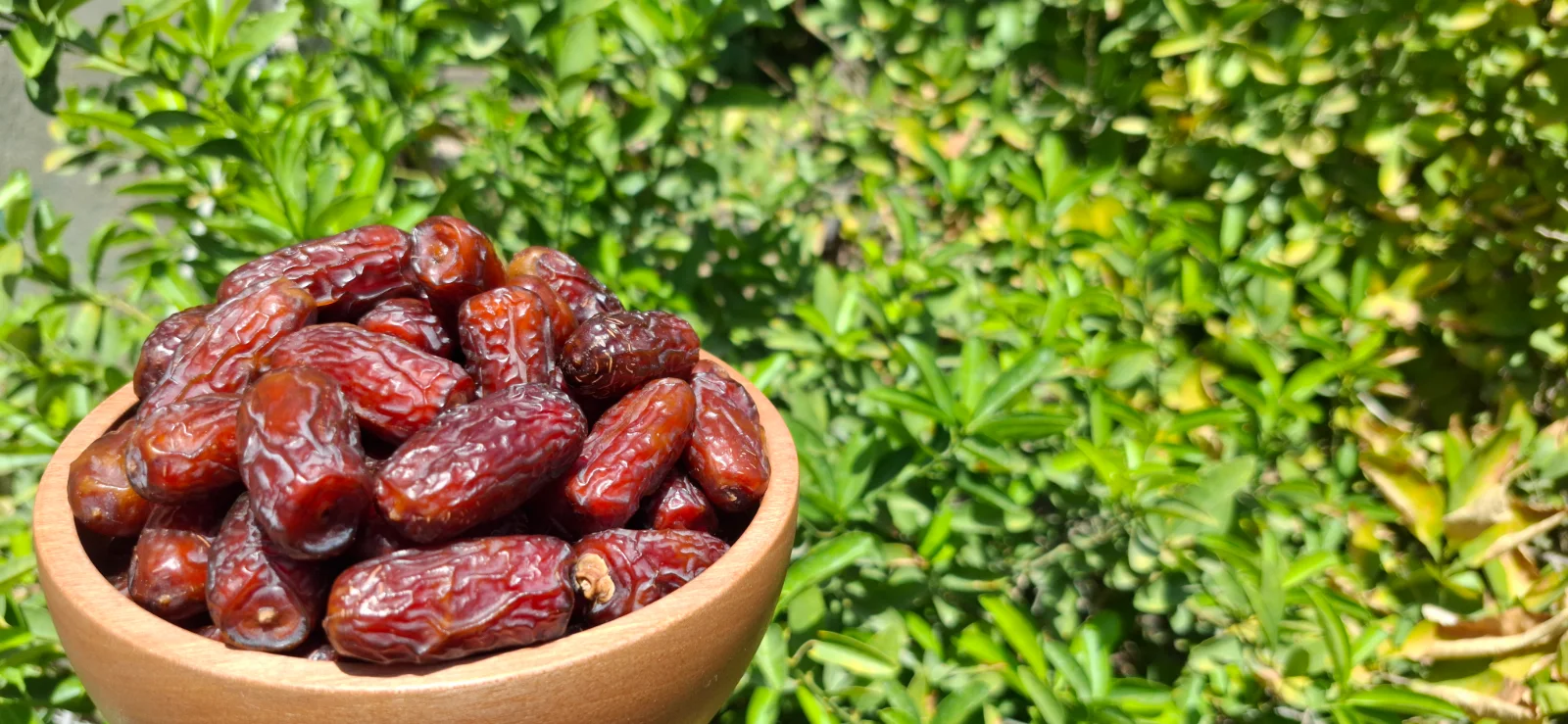 پیارم شرابی ۴سانتی