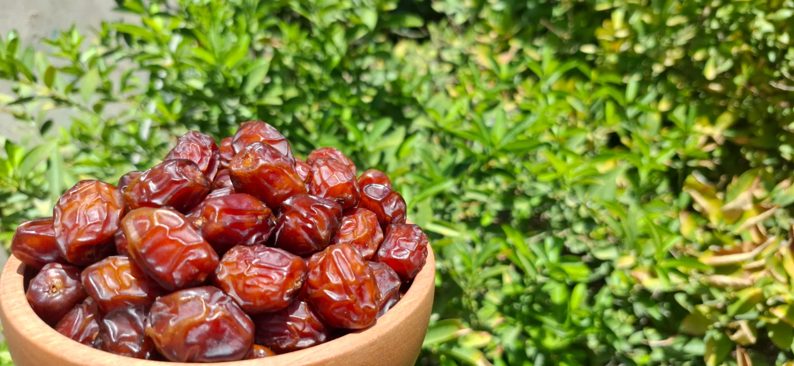 بنر خرمای خاصویی