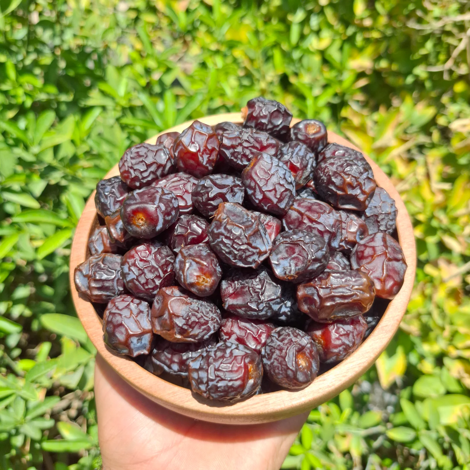 آلویی درجه یک