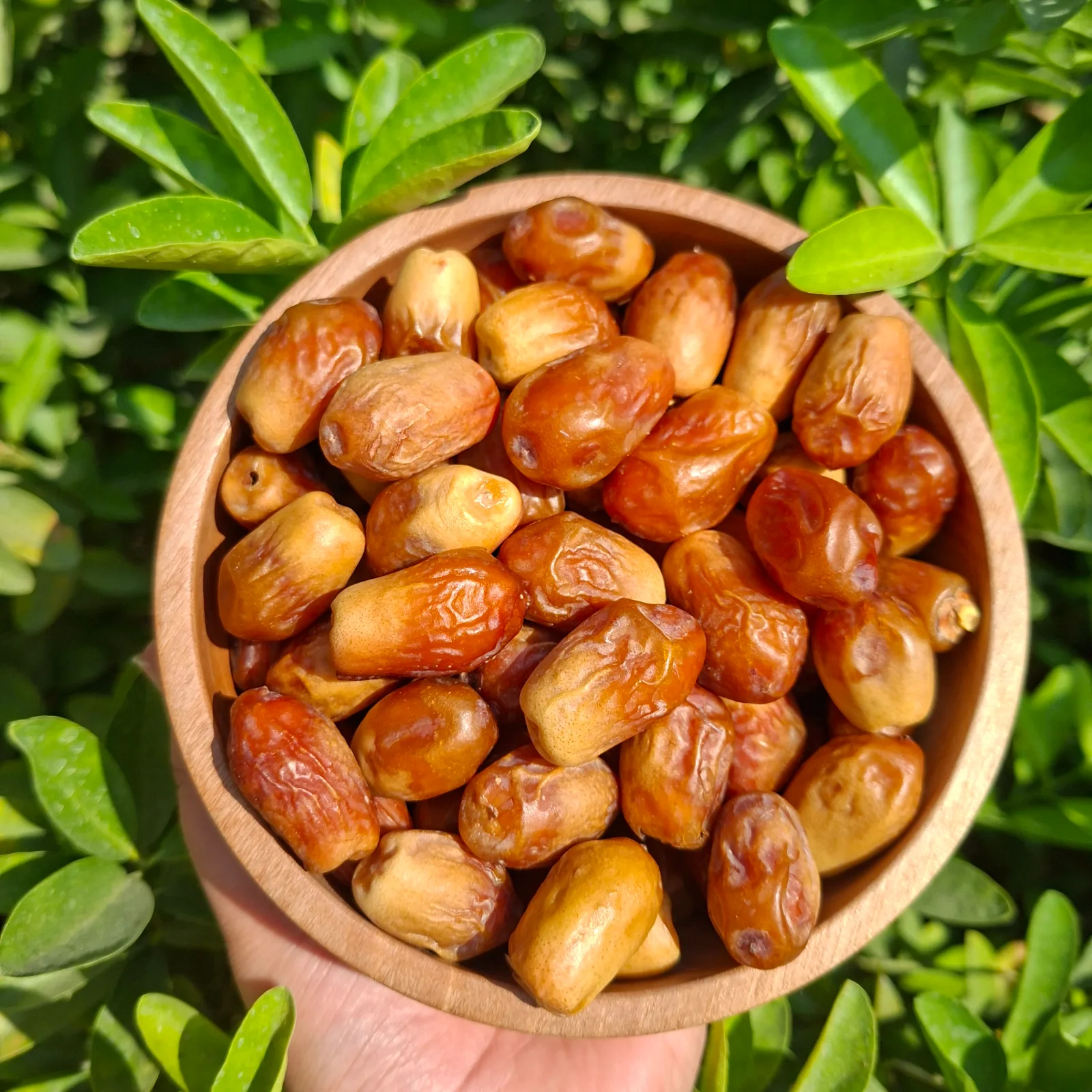 زاهدی
