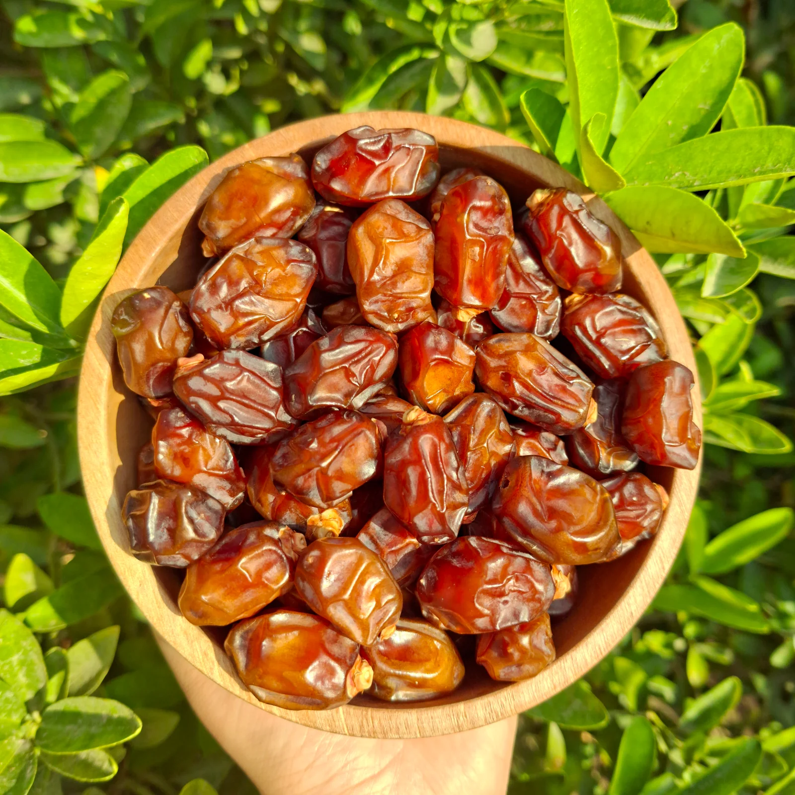 خاصویی سوپرلوکس