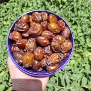 خاصویی دانه (۱ کیلویی )