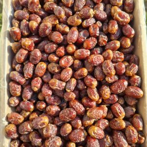 خرمای بریمی قندونی - سایز نقلی (3 کیلویی)