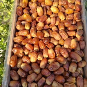 خرمای زاهدی سوپر (5کیلویی)